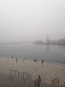 Foggy view of the harbor from the library